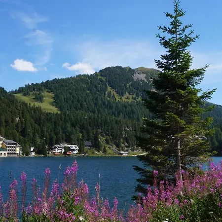 別荘 Bergliebe Turrach *