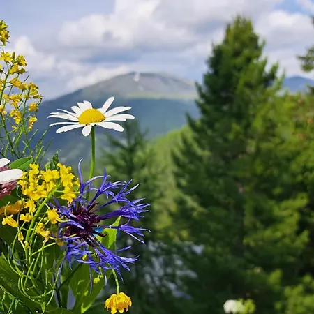 Vakantiehuis Bergliebe Turrach