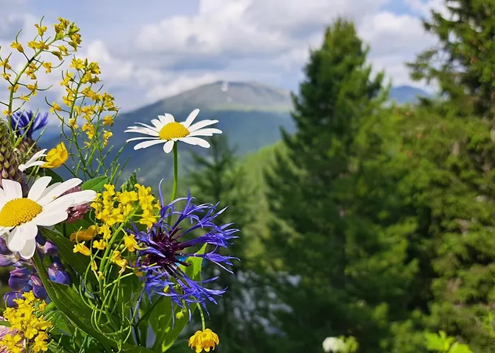 Vakantiehuis Bergliebe Turrach